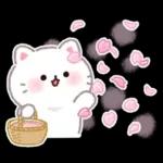 ふんわりにゃんこの春