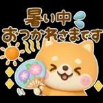 夏にかわいい♡豆柴日和