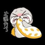 好想兔-逗趣满满