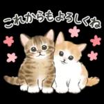 ふんわり可愛い☆猫たちのスタンプ