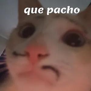 que pacho - getsticker.com