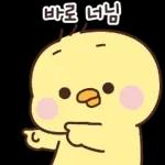 볼빨간 오리는 매일이 신나~11