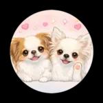 ブラン&プティ第2弾♡