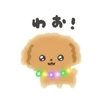 ぴかぴかわんわん