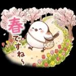 春のシマエナガ♪