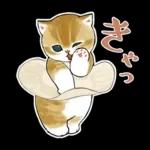 おめかしにゃん