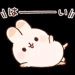 寄り添いうさぎ9