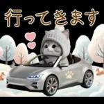 スコティッシュ猫 可愛いグレーニット 冬