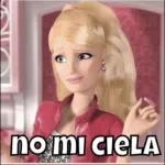 LLORELO PAPÁ CITCOL 