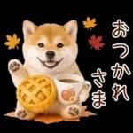 大人かわいい秋の癒し柴犬