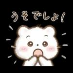 しろいこ組♡くまの気持ち伝える