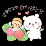 チロクマとアイビー　初夏