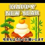 夢のクリスマス☆年末年始