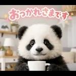 飛び出す♡まいにちパンダ