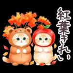 秋冬 毎日使える コスにゃんず 日常