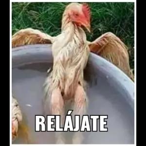 RELÁJATE - getsticker.com