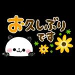 大人のカラフル♡ころころパンダ