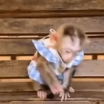 ГДЕ ВСЕ?