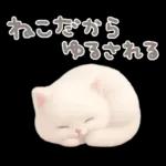 モフモフ白ネコ