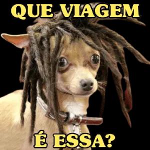 QUE VIAGEM É ESSA? - getsticker.com