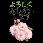 もふ屋画♪チップとデール