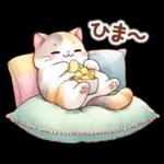 猫のつめあわせ⑤【春】