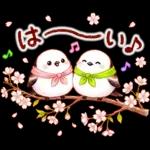 春のシマエナガ♪