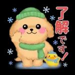 Animation only icon かわいいトイプードルの冬
