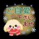 Animation only icon かわいいトイプードルの冬