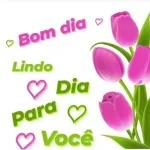 Adesivos de bom dia