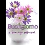Buongiorno
