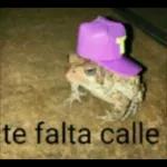 Y NOS LLEVAN HASTA DONDE DE LA NAFTA