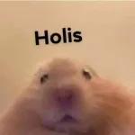 Holis