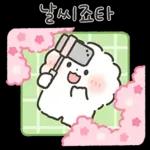 퐁실퐁실 퐁슈랑 벚꽃 보러 갈래?