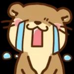 コツメカワウソ♡基本の言葉 日常