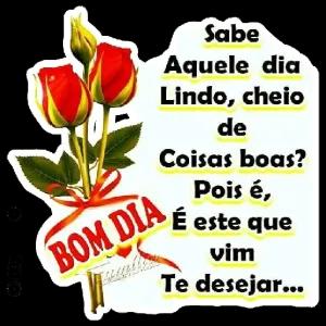 Sabe Aquele dia Lindo, cheio de Coisas boas? Pois é, BOM DIA É este que vim Te desejar... - getsticker.com