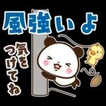 パンダ＆ひよこ 梅雨・夏