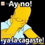 gggfhjj