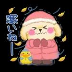 Animation only icon かわいいトイプードルの冬