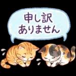ずっと使える♪猫たちの日常