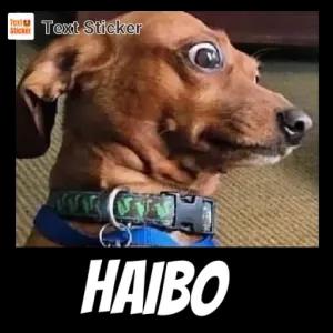 Text Sticker HAI BO - getsticker.com