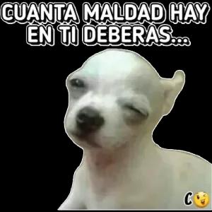 CUANTA MALDAD HAY EN TI DEBERAS... - getsticker.com