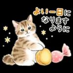 冬の毎日と年末年始☆猫たちのスタンプ