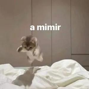 a mimir - getsticker.com