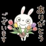 やさしい春の毎日♡ふんわかウサギ