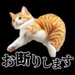生成失敗猫【毒舌・煽り・煽る・シュール】