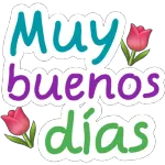 buenas noches 