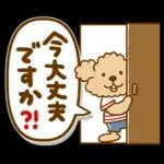 トイプーのぷう太郎 連絡用2(フキダシ)