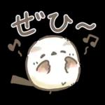 【夏】エナガさんとシマエナガさん12