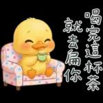 陰陽怪氣的小鴨鴨